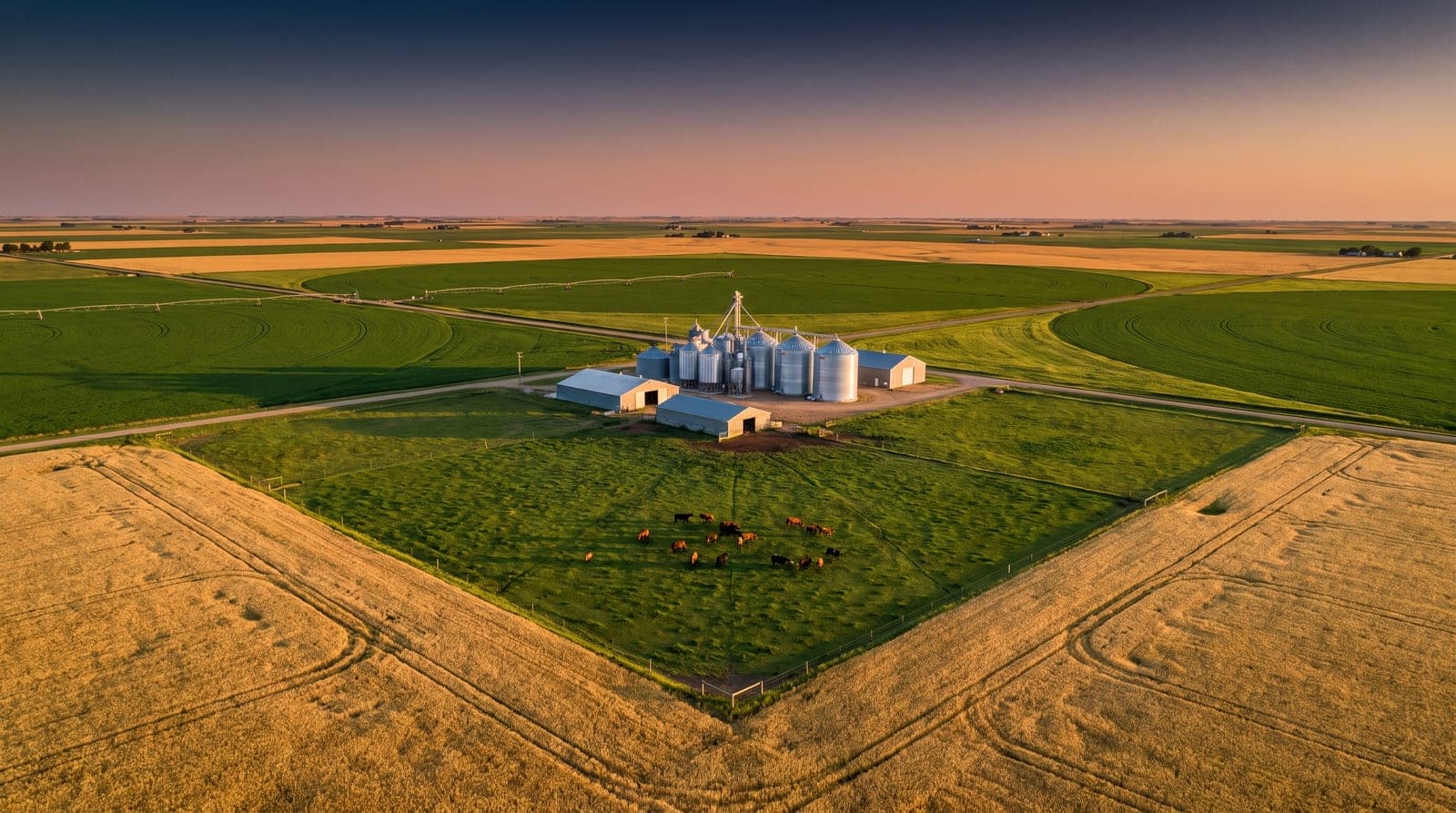 Agriculture & Livestock